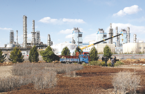 黑白体育app 多赛事直播界面